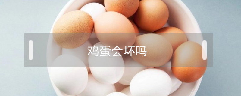 雞蛋會(huì)壞嗎