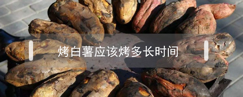 烤白薯應(yīng)該烤多長(zhǎng)時(shí)間