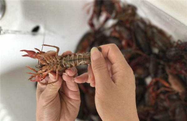 蝦尾怎么清洗，清洗蝦尾有兩方法