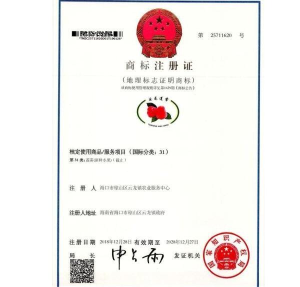 泰國(guó)海南蓮霧幾月份上市，蓮霧幾月份上市多少一斤