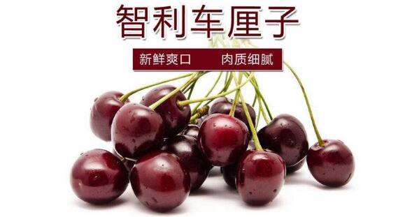 進口櫻桃品種排名，櫻桃品種介紹及排名