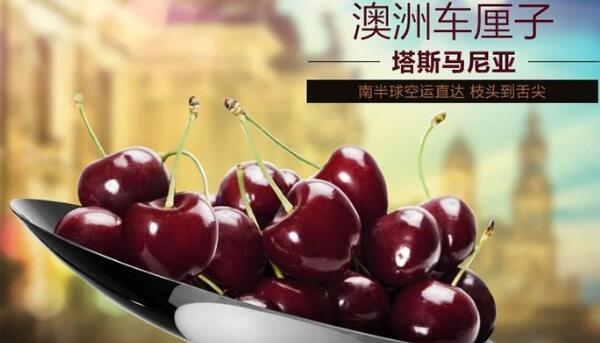 進口櫻桃品種排名，櫻桃品種介紹及排名