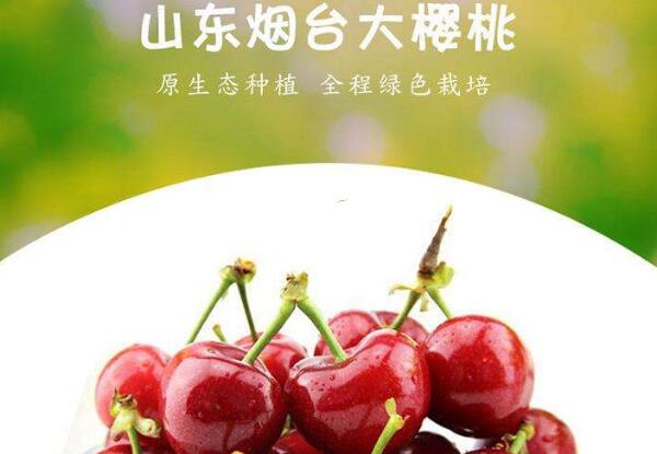 雞心櫻桃是什么品種,雞心櫻桃山東煙臺(tái)地區(qū)位列第三位