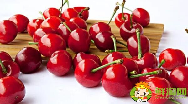 山東煙臺(tái)的櫻桃什么時(shí)候成熟，煙臺(tái)櫻桃成熟的季節(jié)初夏4月中旬
