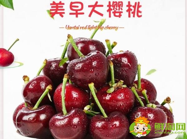 山東煙臺(tái)的櫻桃什么時(shí)候成熟，煙臺(tái)櫻桃成熟的季節(jié)初夏4月中旬