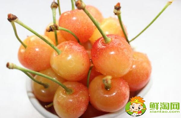 山東煙臺(tái)的櫻桃什么時(shí)候成熟，煙臺(tái)櫻桃成熟的季節(jié)初夏4月中旬