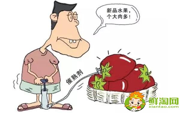 催熟的水果有激素嗎，催熟的水果會讓孩子性早熟嗎(不會)