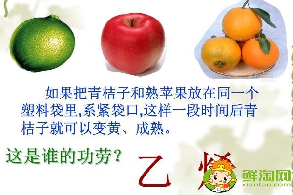 未成熟的柿子怎么催熟最快，柿子怎么催熟最簡(jiǎn)單的方法（不澀簡(jiǎn)單）
