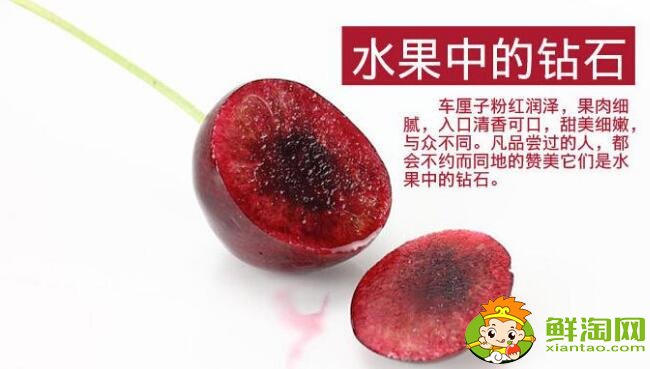 孕婦吃車?yán)遄拥墓πc作用，車?yán)遄用刻斐远嗌俸线m