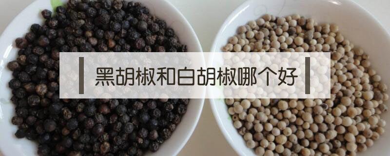 黑胡椒和白胡椒哪個(gè)好