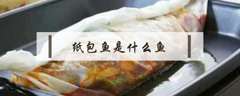 紙包魚(yú)是什么魚(yú)