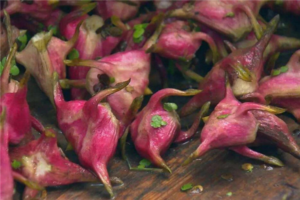 四角菱角怎么剝殼，野生菱角怎么剝殼