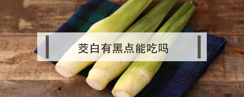 茭白有黑點(diǎn)能吃嗎