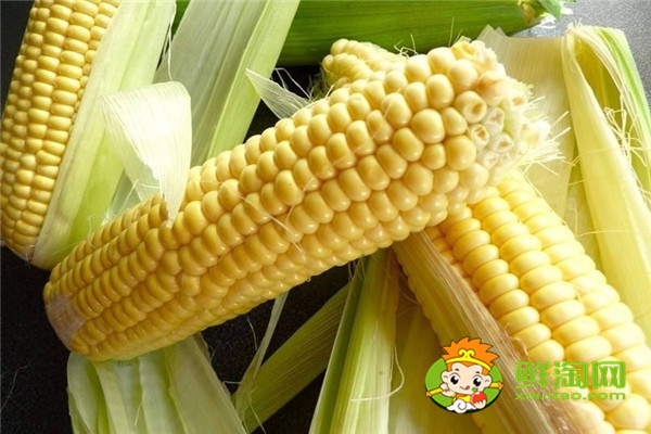 一根玉米去芯大概多重,甜玉米糯玉米哪個(gè)減肥