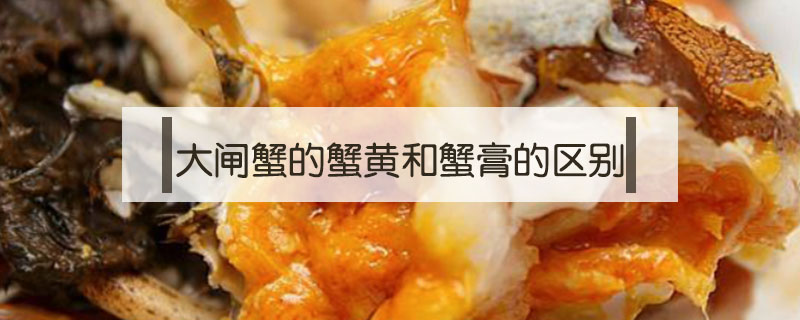 大閘蟹的蟹黃和蟹膏的區(qū)別