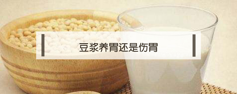 豆漿養胃還是傷胃