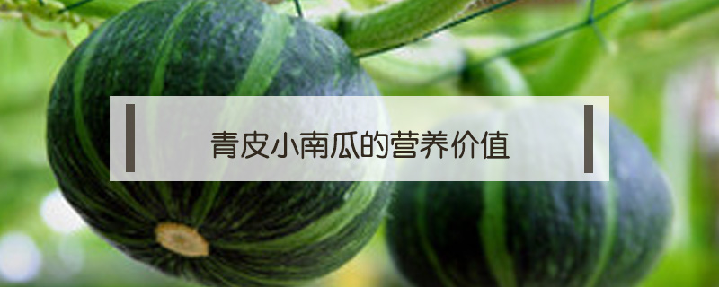 青皮小南瓜的營(yíng)養(yǎng)價(jià)值