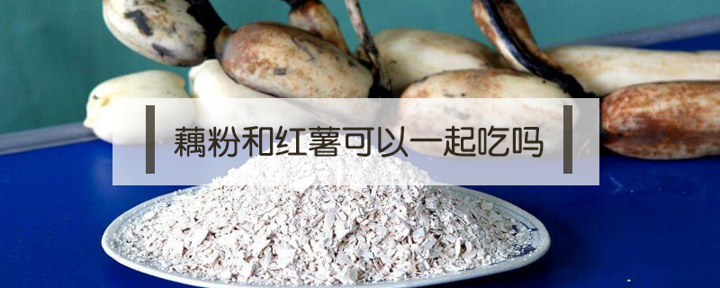 藕粉和紅薯可以一起吃嗎