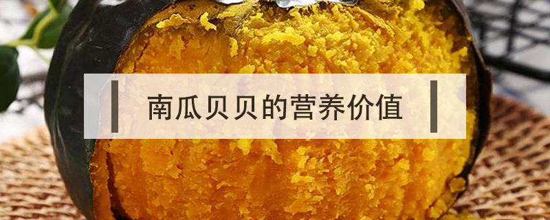 南瓜貝貝的營(yíng)養(yǎng)價(jià)值