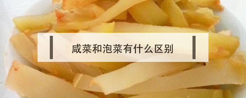 咸菜和泡菜有什么區(qū)別