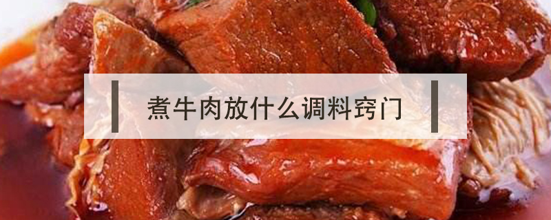 煮牛肉放什么調(diào)料竅門