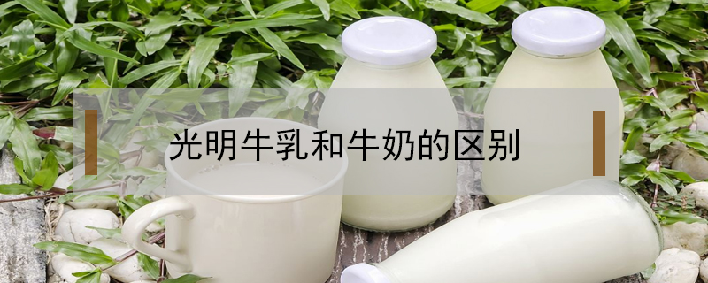 光明牛乳和牛奶的區(qū)別
