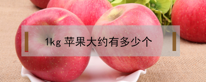 1kg蘋(píng)果大約有多少個(gè)