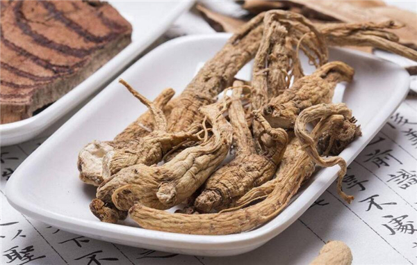 當(dāng)歸能泡水喝嗎