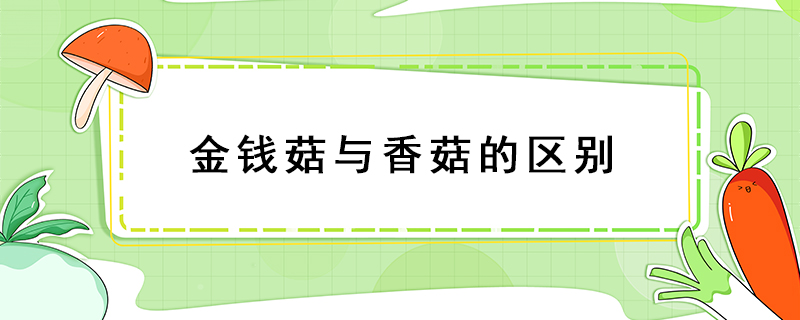 金錢菇與香菇的區(qū)別